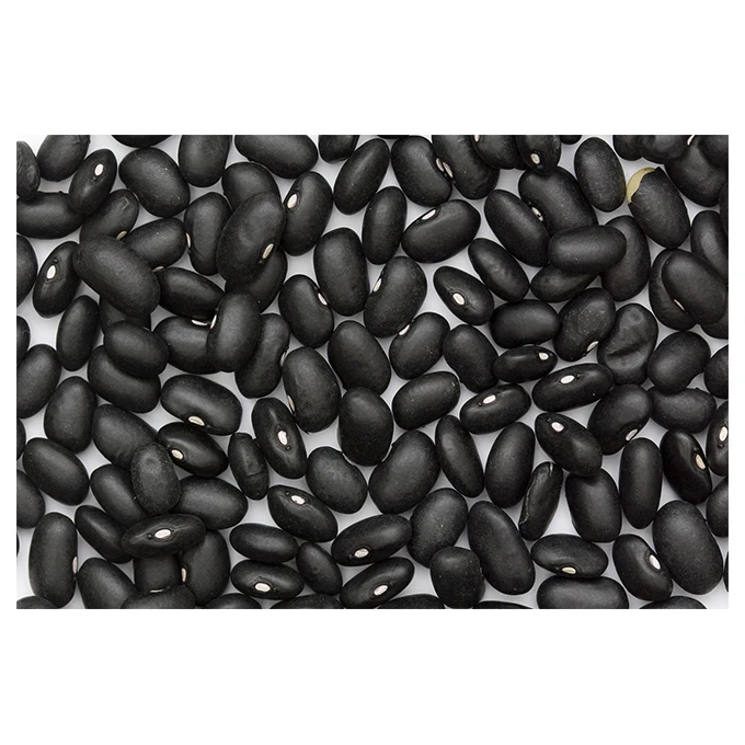 Hot Sale Premium Black Kidney Beans - High Quality, Best Price, Directly From Producers In Mexico