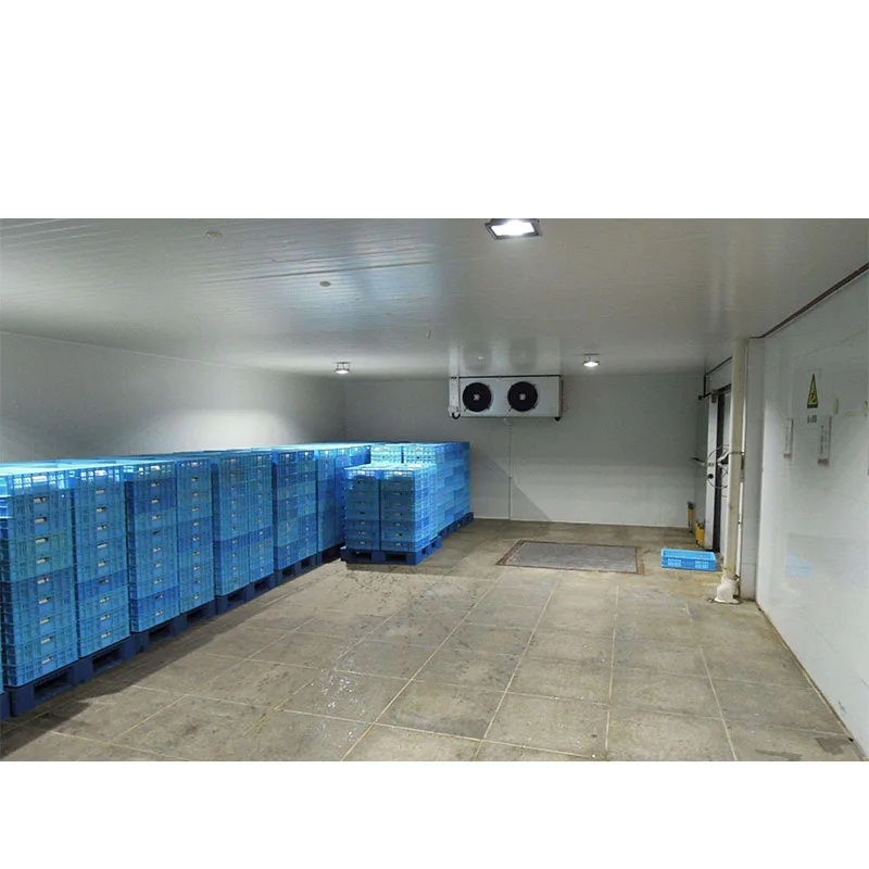 new design solar cool room for onion and tomatoes cold storage room