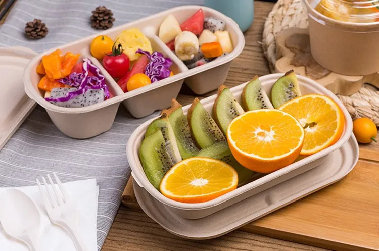 BIodegradable take away food paper pulp container box