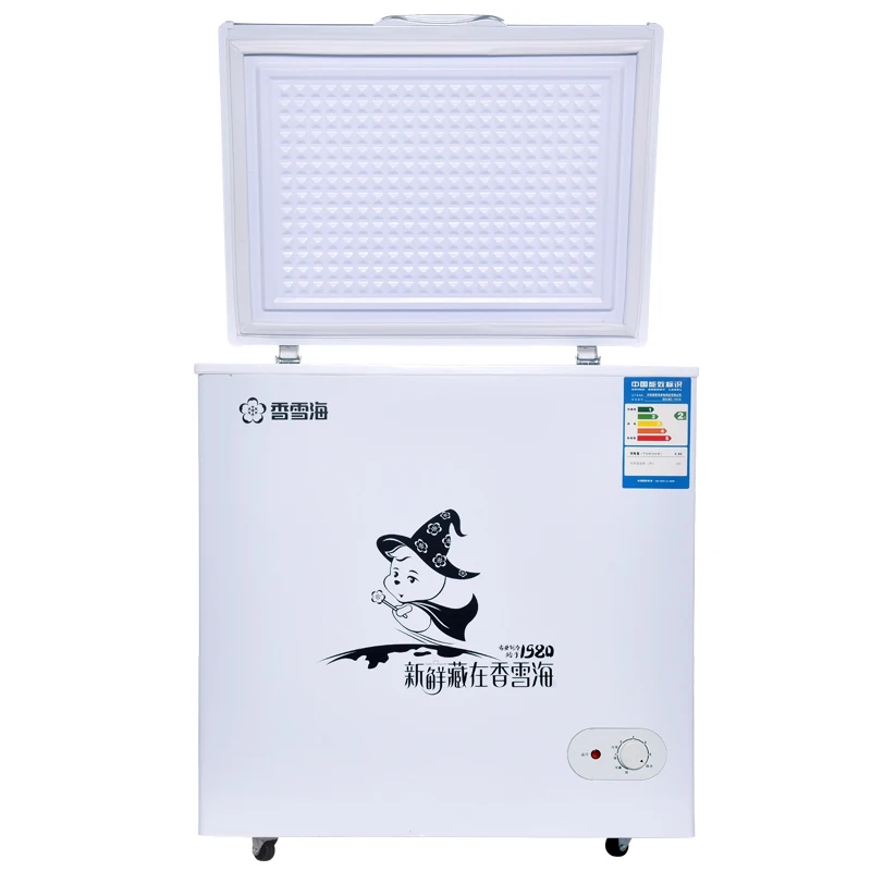 BD-150 Deep Freeze Display Vertical Commercial Refrigerator Freezer