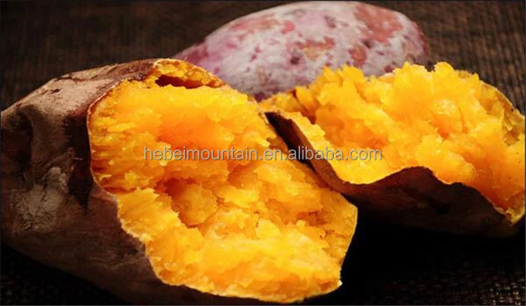 sweet potato/corn/taro roaster corn roasting machine