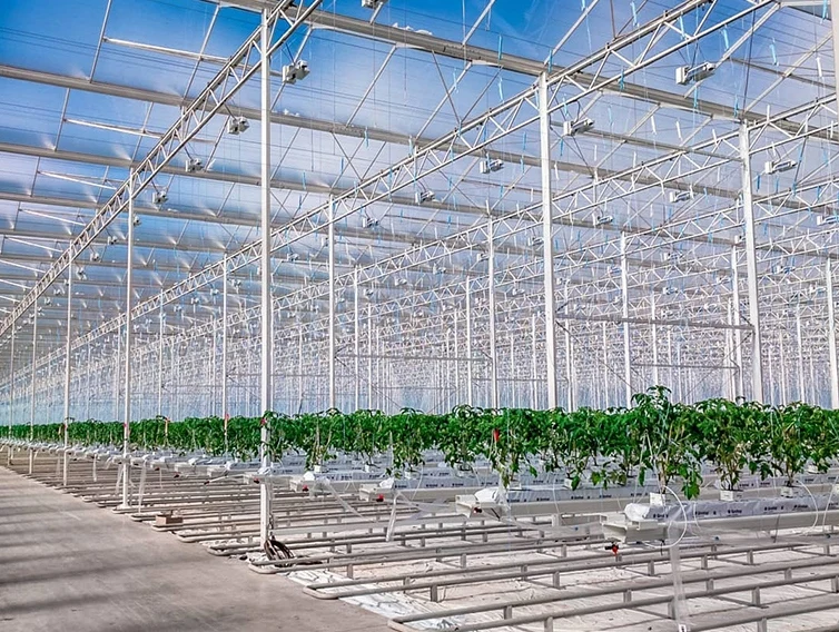 Venlo Commercial Agricultural High efficient venlo cheap intelligent agriculture multi-span glass hydroponic greenhouse