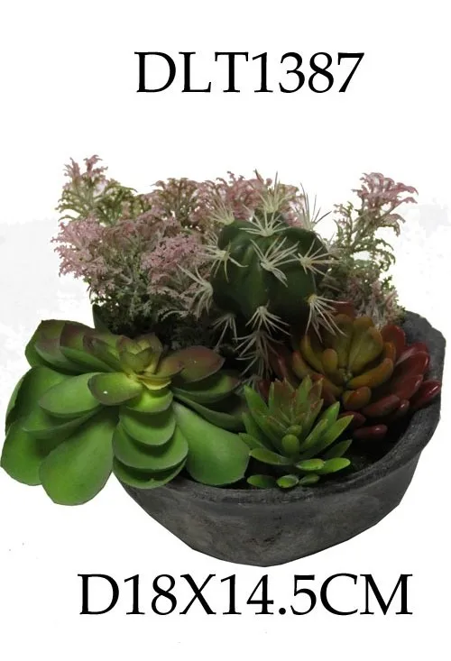 Succulents Potted Indoor echeveria succulent artificial plants and succulents