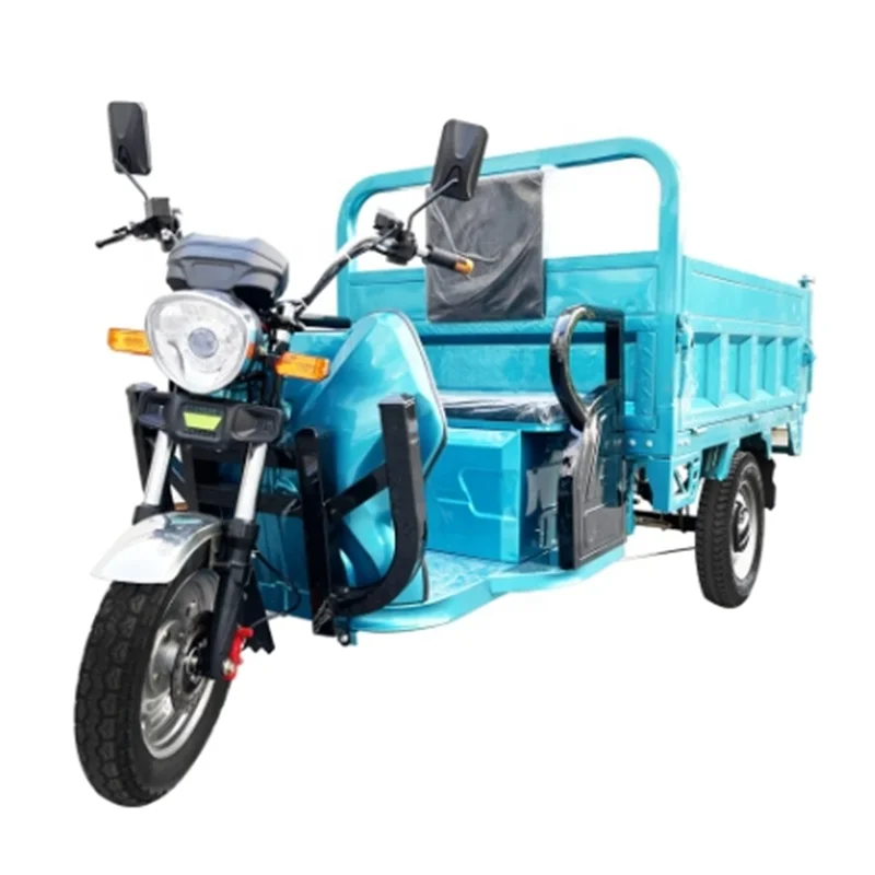Hot Selling 1200W Electric Tricycles Cargo Truck Ricycle Adult Electric Reverse Trike Motorcycle Can add tarpaulin