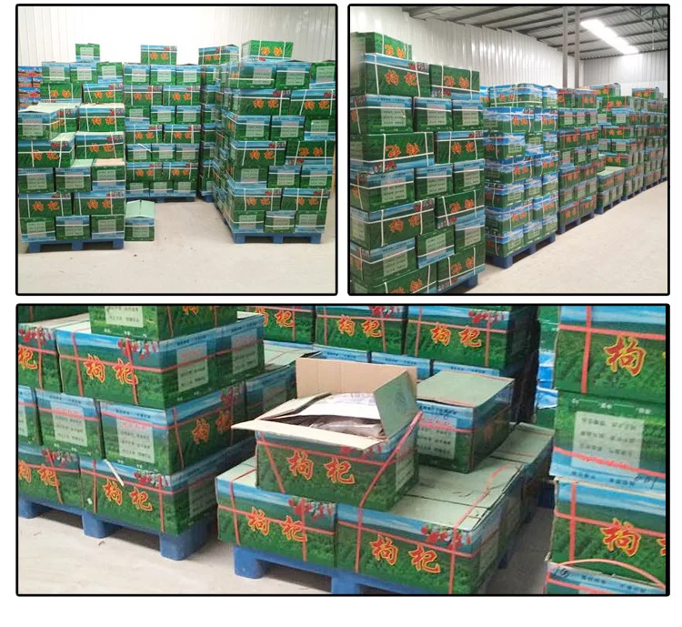  Оптовая продажа Волчья ягода китайский ningxia красные органические преимущества сорта Годжи чай сушеные ягоды годжи семена