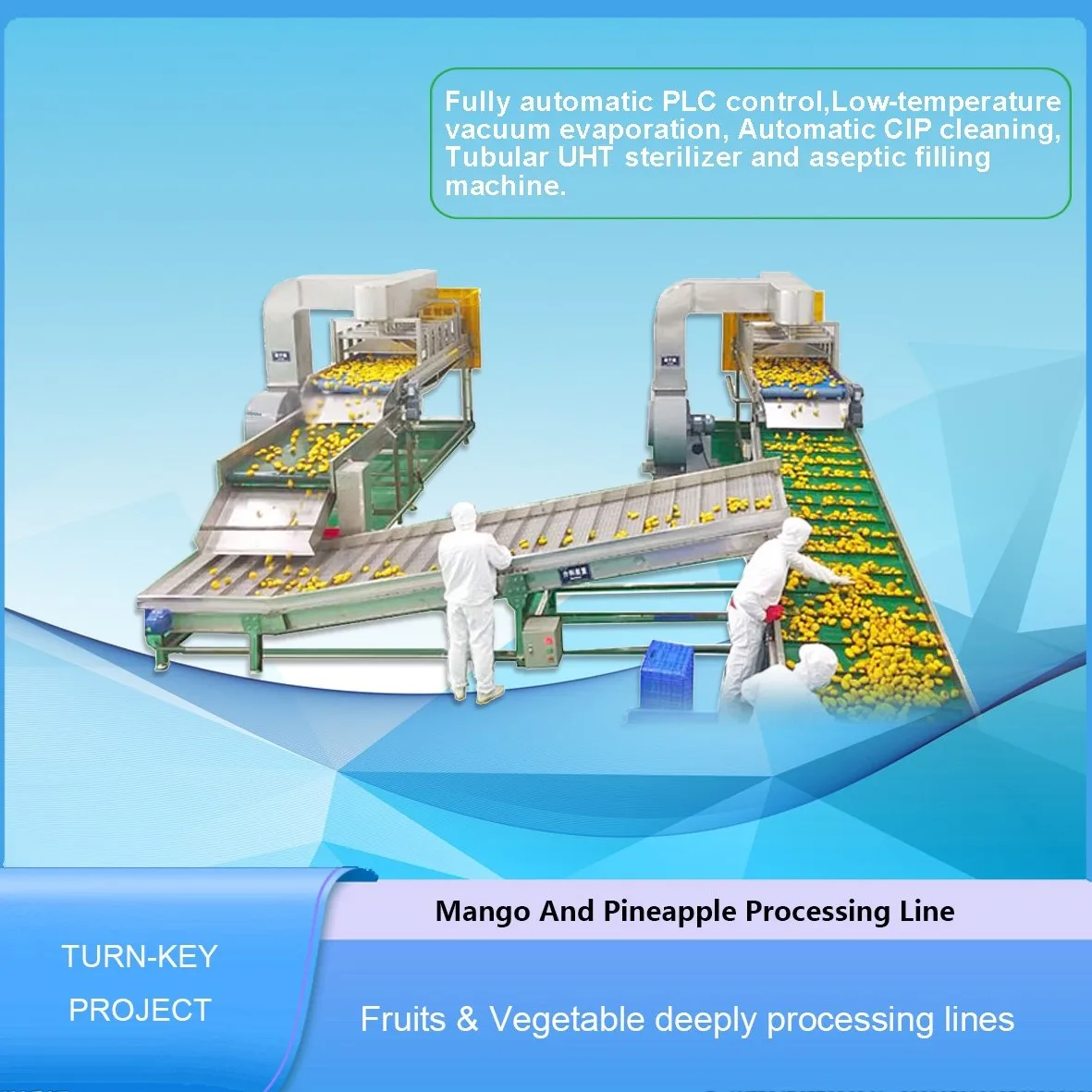 Mango processing line