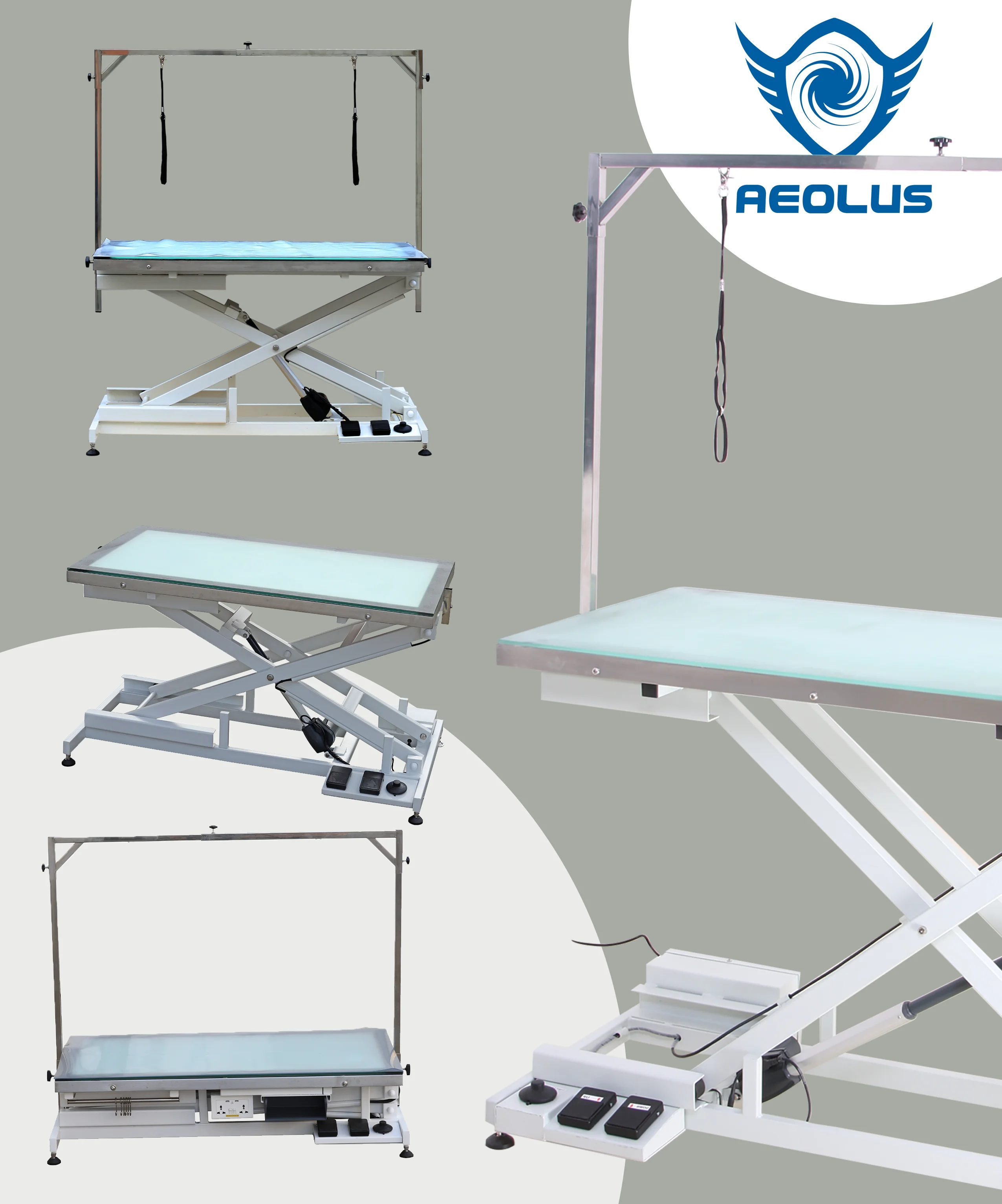 Aeolus High quality LED Lighting Electric lift pet dog beauty grooming table Illumination grooming table