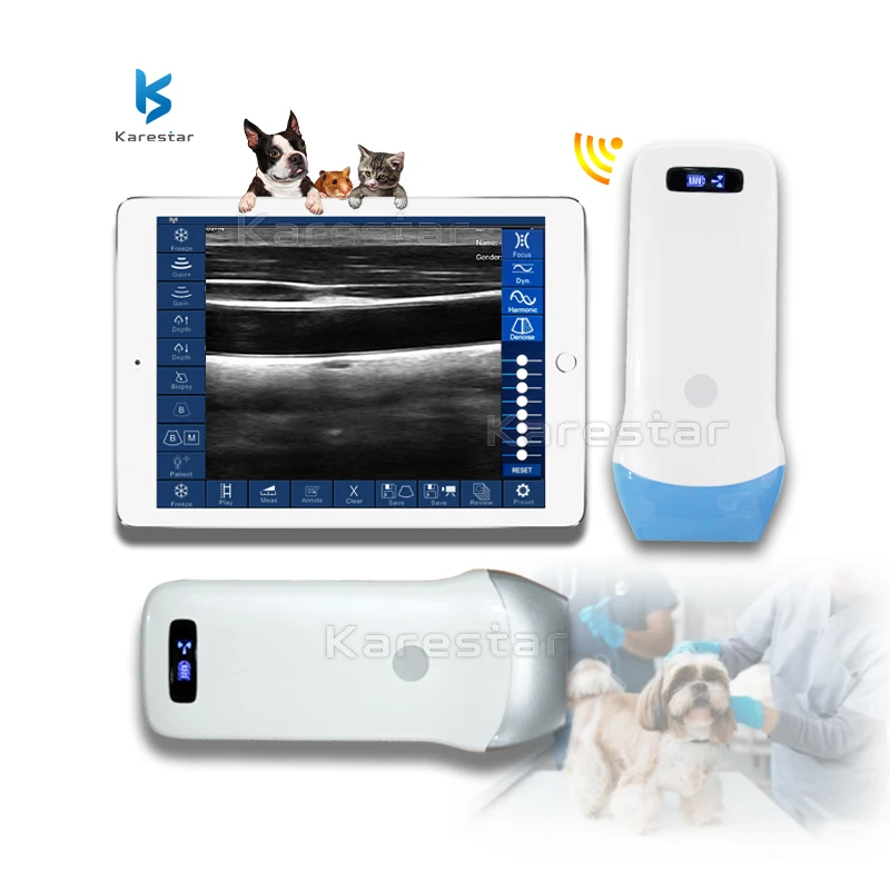 128 elements full digital handheld USG machine pet use wireless probe ultrasound