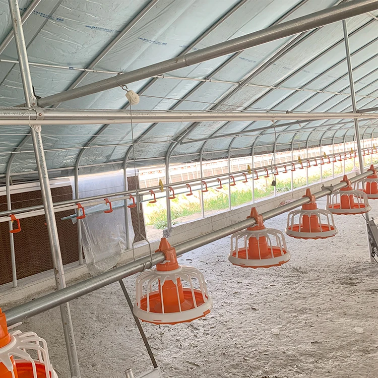 
 Автоматическая система подачи и кормления для цыплят бройлеров  