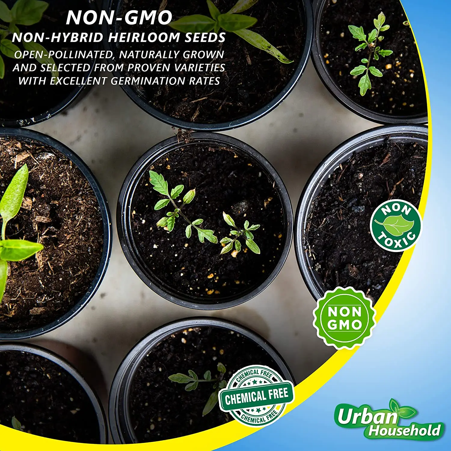 Vegetable Seeds - Set of 35 Assorted Non-GMO Vegetables & Herb Seedlings - Starter Variety Mix for Indoor & Outdoor Gardening