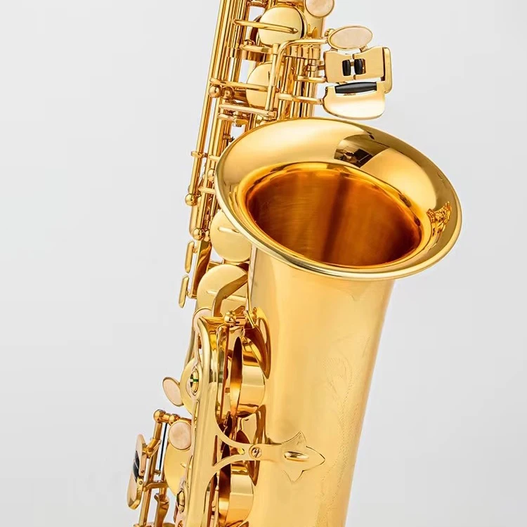 Saxophone Brass Material Alto Saxophone E-Flat Gold Keys Mouthpiece Music Instrument Alto Sax for Adult