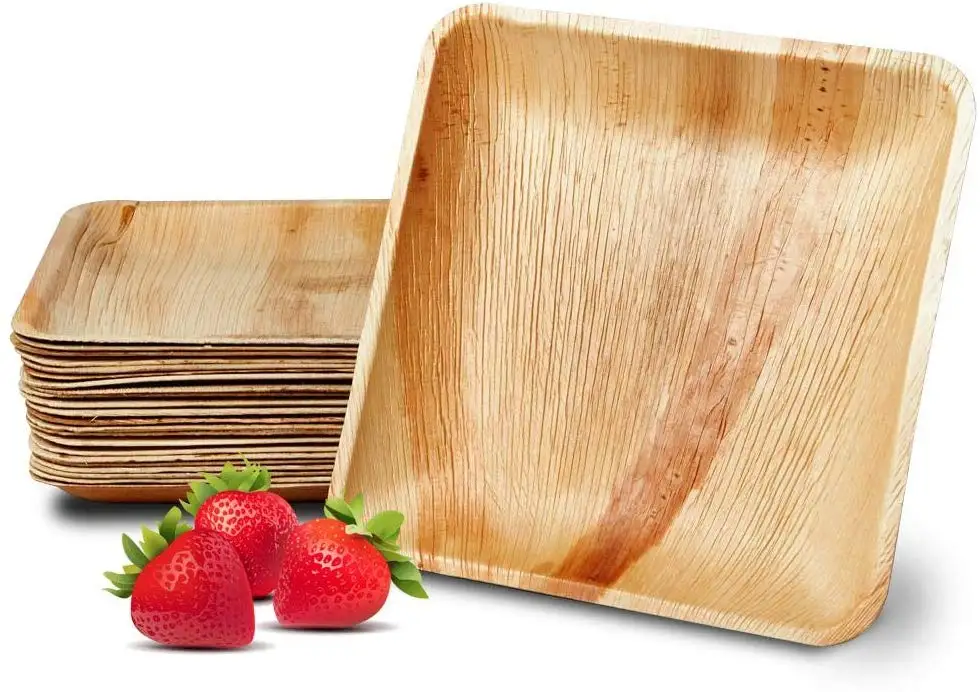 10 Inch Square palm leaf disposable plates for party Compostable Eco Friendly palm leaf plates set biodegradable plate