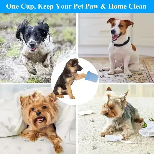 Top quality made in Italy with clay formulation GREEN WASH DERMA natural shampoo for all types of dogs 5L