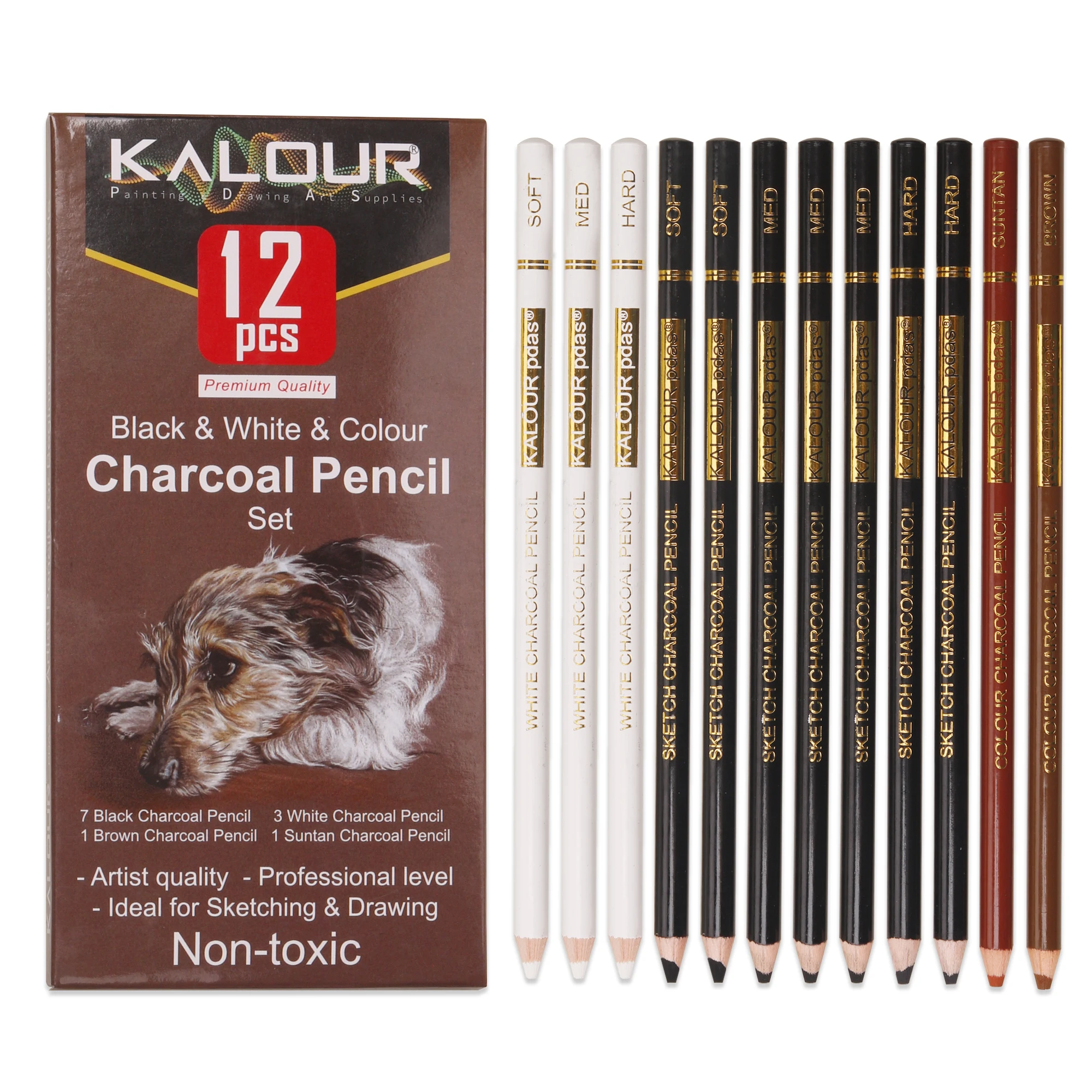 KALOUR Hot Sale High grade Soft Core 12pcs Black White and Colored Pastel Pencil Charcoal Pencil Set