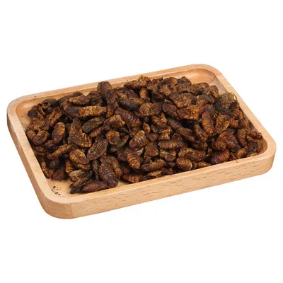 High quality poultry pet food silkworm pupae powder mulberry silkworm silkworm chow