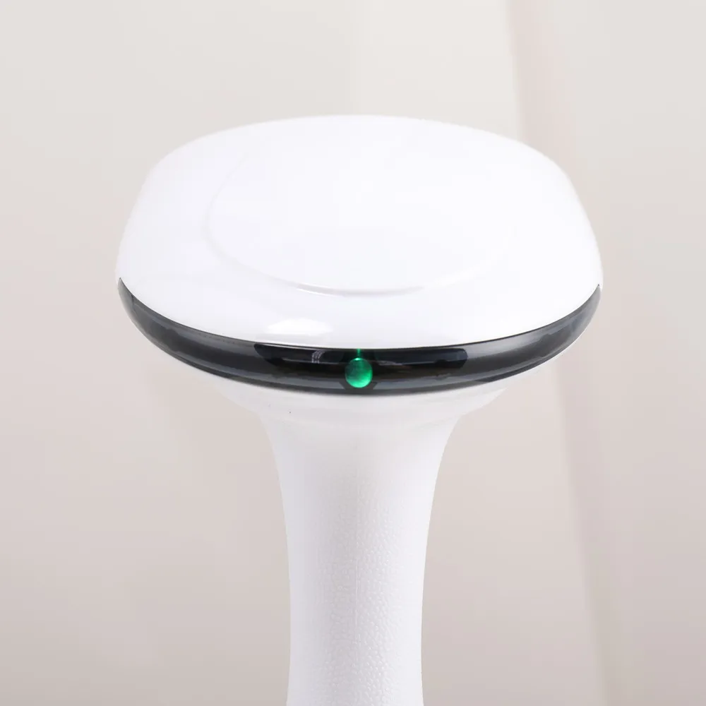 New Design Wholesale Travel Portable Handheld Garment Steamer for Clothes