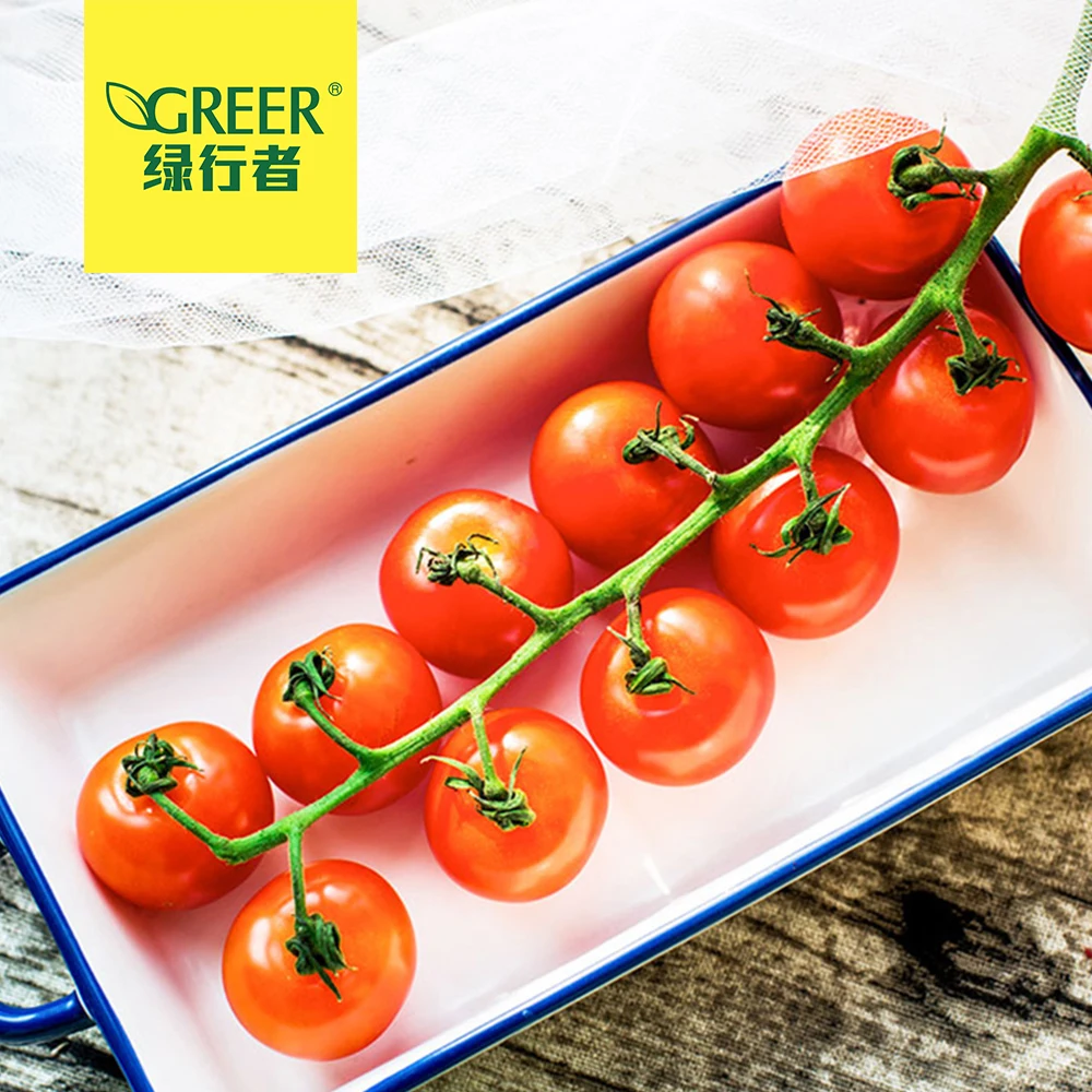 
Fresh tomato cherry tomato fresh vegetables 