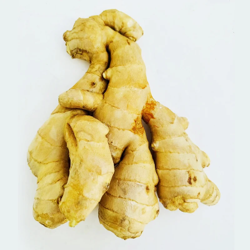 China High-Quality Wholesale Fast Delivery Ginger Root From Sustainable Farming Practices