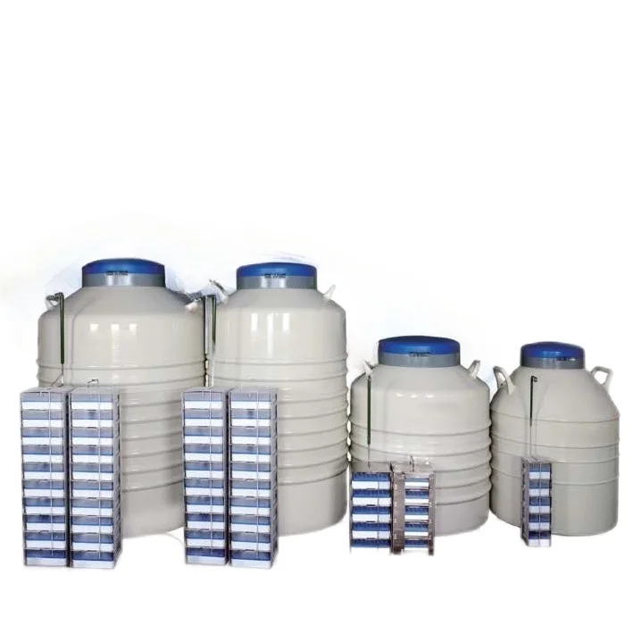 YDZ-50 Self-Pressurized 50L Liquid Nitrogen Cryogenic Tank Chemical Storage Equipment at Competitive Price