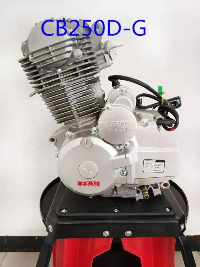 Zongshen CB250 engine cylinder assembly