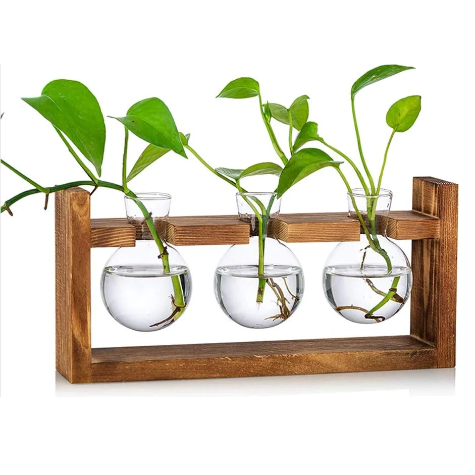 
Glass Planter Vase Terrarium Tabletop Plants Desktop Spherical Shape Glass Vase Wooden Stand Flower Pots for Home Office Garden  (60124627809)