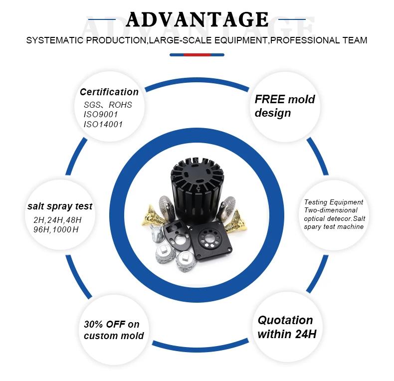 Precision Die Casting Processing of Zinc Aluminum Alloy for Garlic Press Custom Casting Services