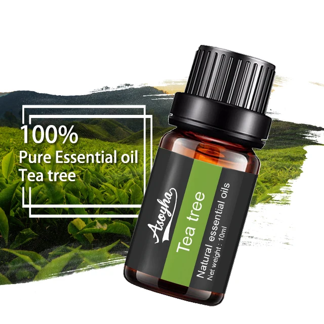 Wholesale Cosmetics Grade Australian Tea Tree Basil Aroma Source Natural Essential Oils For Candles Skin Care Aromatherapy