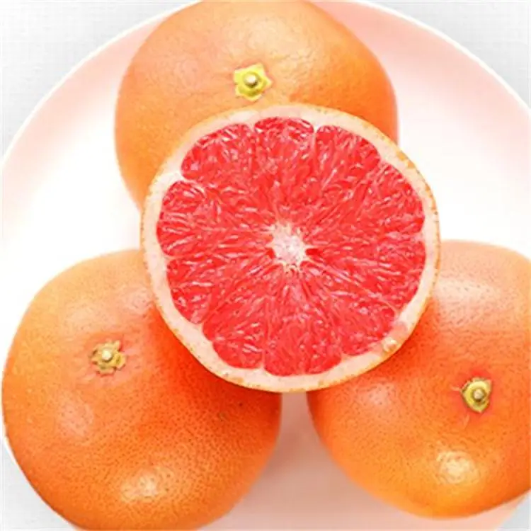 Высококачественный фрукт Agrapefruit в качестве сырья 850 г, пакеты Красного грейпфрута