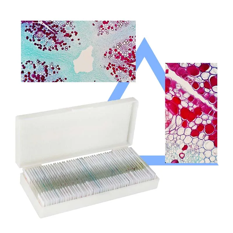 Medical Science Biology Anatomy Histology and Botany Prepared Microscope Slides 11.4*8.1*3.4cm CN;HEN YL-302 10pcs YULIN 2kgs