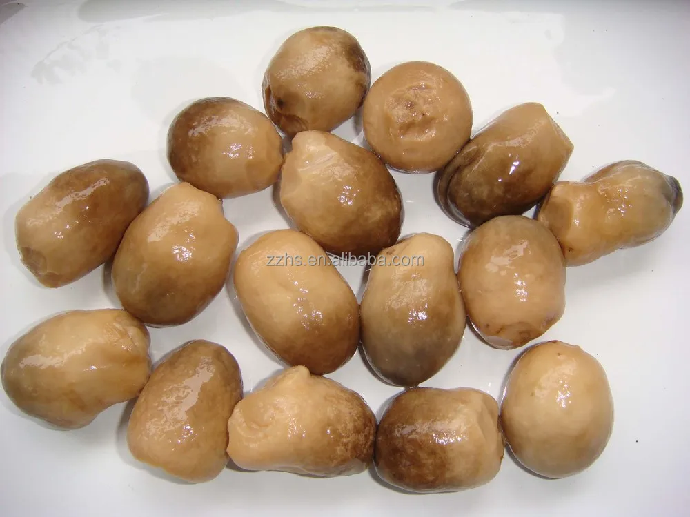 Factory Chinese Canned Vegetable Food Easy Open Healthy Fresh Canned Straw Mushrooms
