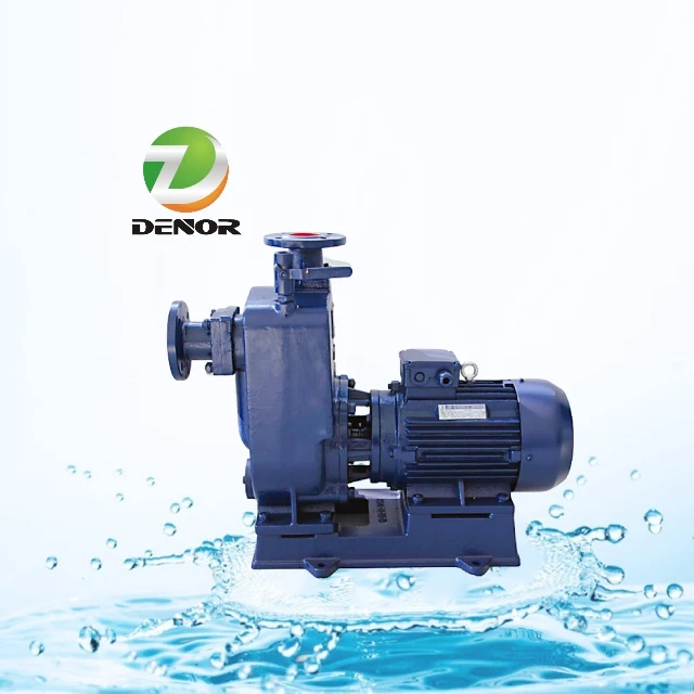 Horizontal Self-Priming Split Case Centrifugal Water Double Suction Pump