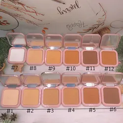 Concealer New Arrival Accept Small Orders 12 Colors Long Lasting Makeup Loose Foundation Face Powder no logo