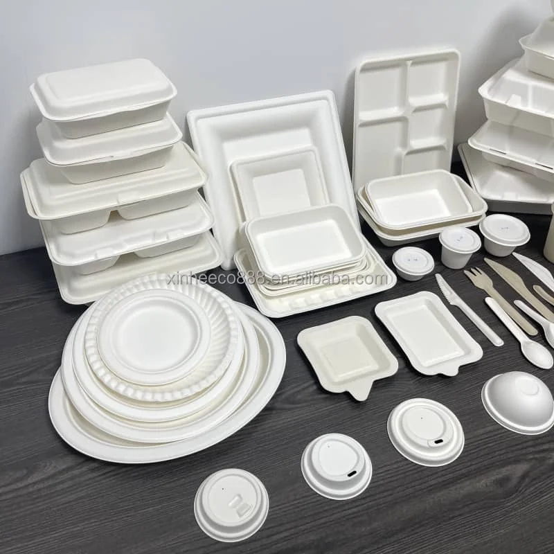 Ok Compost coffe cup Disposable Sugarcane Cup with 6OZ 8OZ 12OZ 16OZ Bagasse Pulp Biodegradable Hot Drink Cup with 80mm 90mm Lid