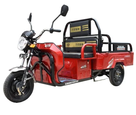 LIYUAN 1.2m 60V Made in China Three Wheels Electric  Adult Electric Tricycle Cargo with 2 Seats for Sale