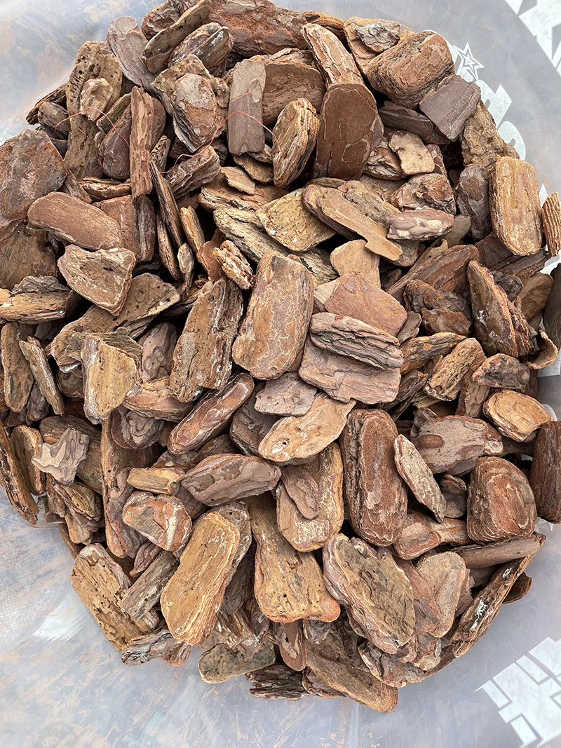 china Factory wholesale pine Bark chip Planted Trees Natural Pine Bark nugget Wood Supplement Mulch
