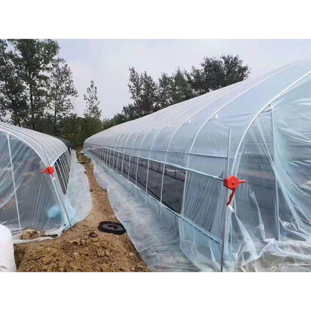 Крупногабаритная сельскохозяйственная теплица, 50 м, 30 м, 20 м