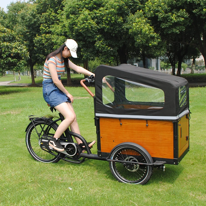 2022 Classic 3 Wheels Electric Cargo Bike Tricycle Customized Carrying Kids Family Pedal Adult Cargo Bike e bakfiets