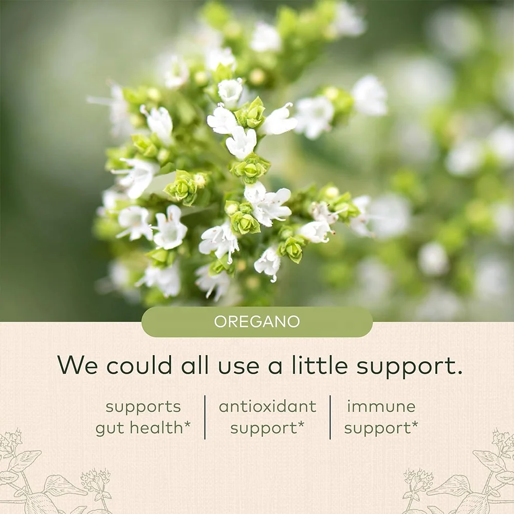 Oil of Oregano Immune and Antioxidant Support Supplement to Help Sustain Overall Well-Being Oregano Oil Carvacrol and Thymol