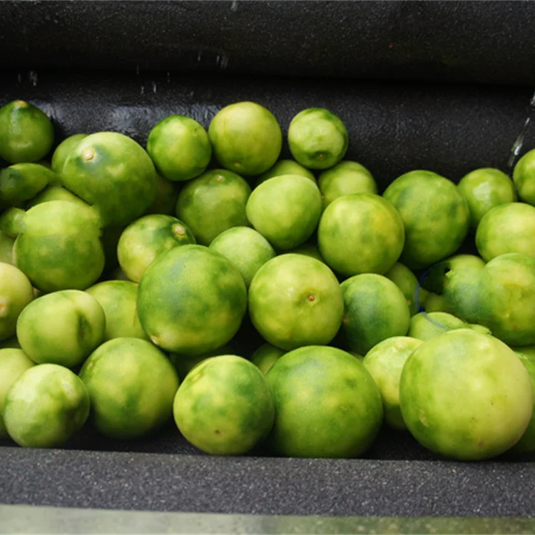 Чистящая Щетка для овощей и фруктов, машина для очистки и пилинга