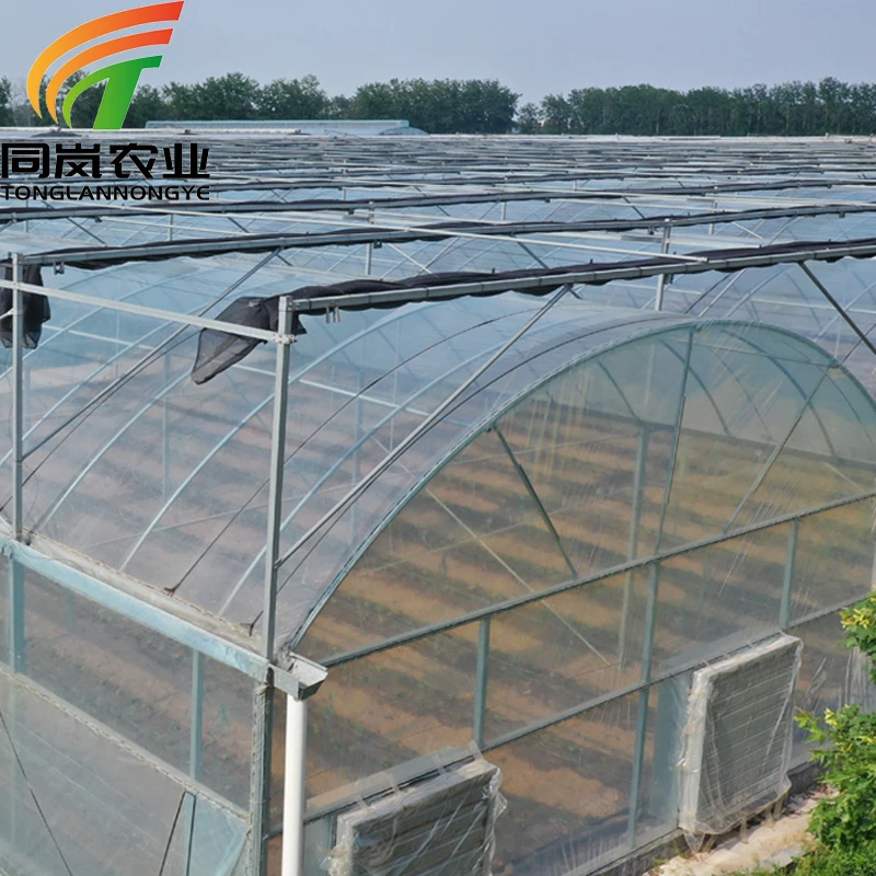 China Low Cost Agricultural Plastic Film Portable Commercial Greenhouse And Other Greenhouse System For Winter