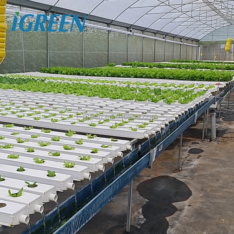 greenhouses from china greenhouse material hydroponic greenhouse for sale