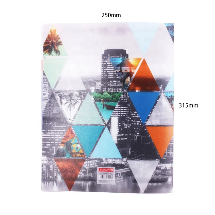 Printed hardcover PP cover ring binder custom office folder