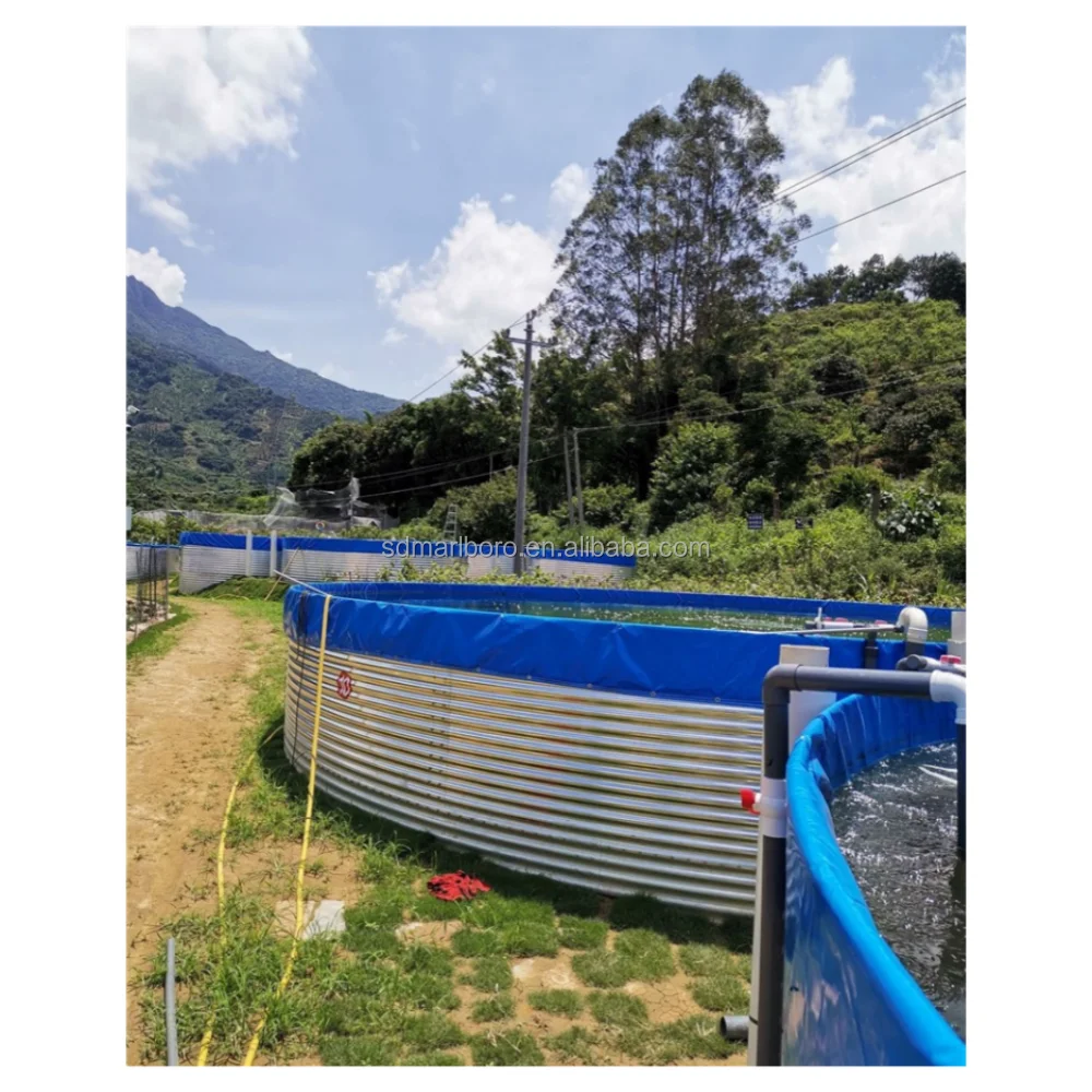 Plastic Fish Farm Tank for Fish Farming Ponds For Fish and Shrimp RAS Tilapia Farming Fisheries Aquaculture System Equipment