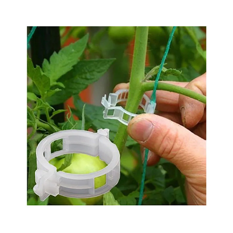 Vine Strapping Clips Reusable Garden Plant Bundled Buckle Ring Tool Tomato Clip Plant Support Gardening Accessories