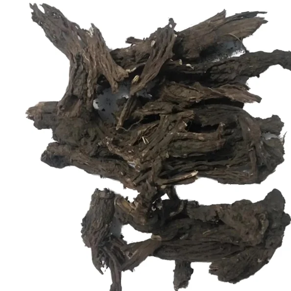 aconitum sinomontanum Roots  Chinese Herb Plants  Gaowutou Roots