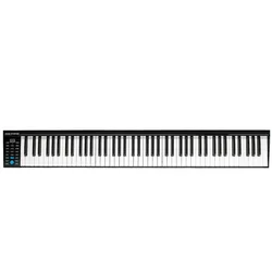 PH88 China professional music instrument piano 88 Keyboards White Black Digital Electric Piano