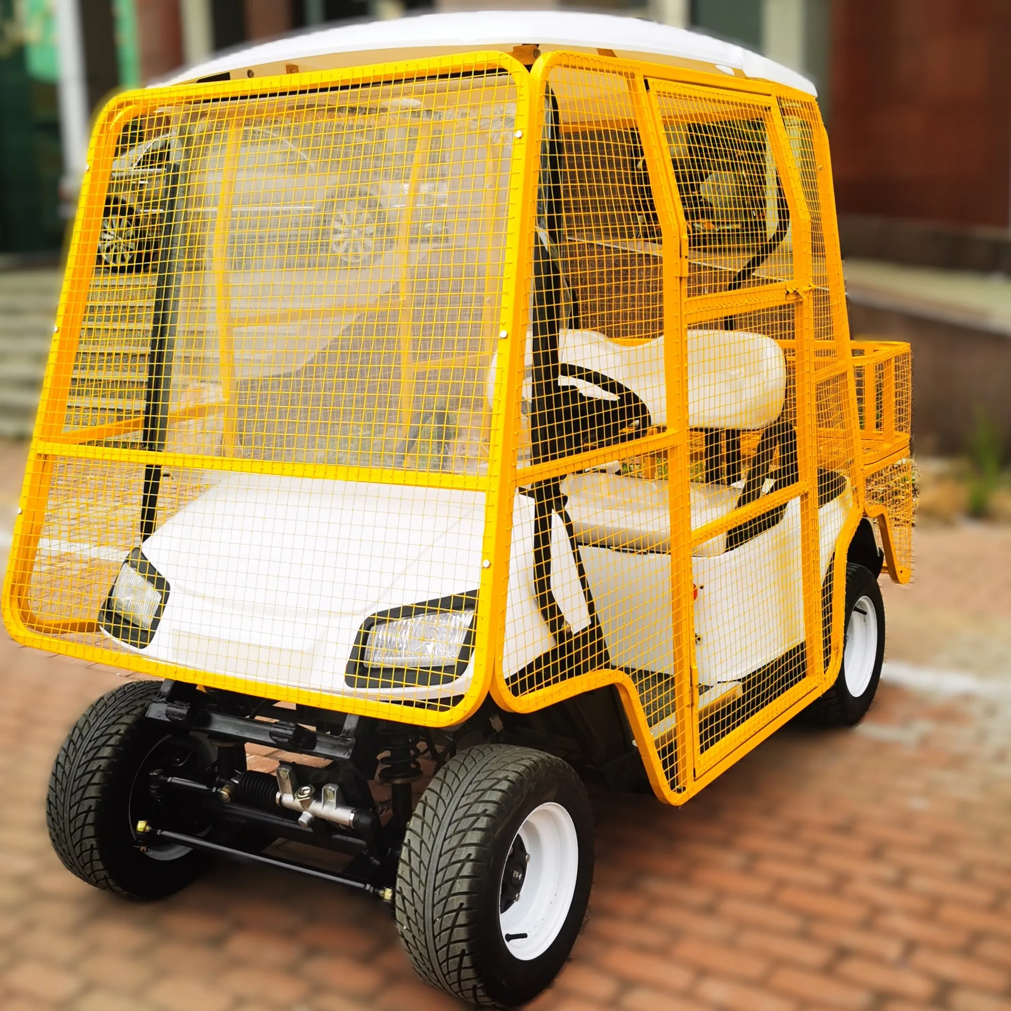 Tong Cai electric golf scooter electric small electric cars for adults Golf Court Customized Electric Caddy Golf Cart