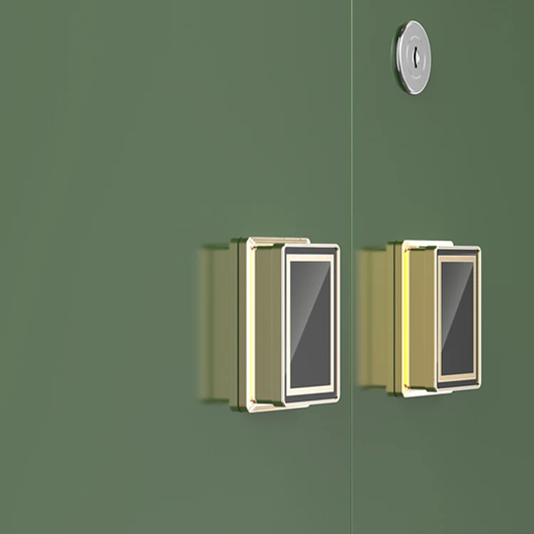 Thickened Smart Gun Cabinet Storage Integrated Cabinet Fingerprint Electronic Double Lock Gun Safe cabinet