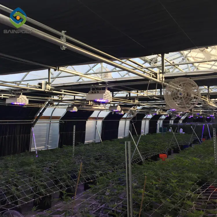 Turnkey projects smart hemp vanilla grow singlespan greenhouse commercial hemp blackout light deprivation greenhouse for sale