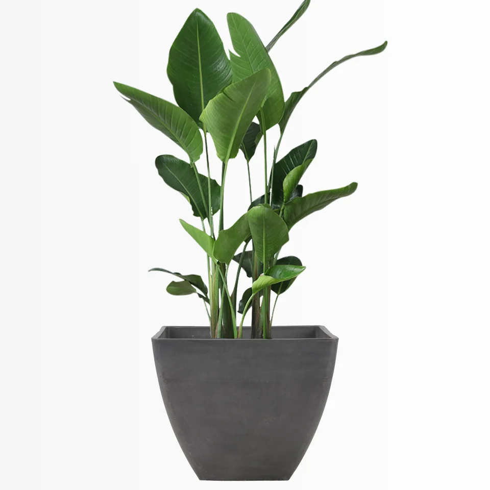 Greenship Large Taperde Plant Pot Big Plastic Planter Box Outdoor Resin Garden Flower Pots For Nursery Plants